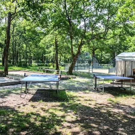 Campingplads Mobil Prestige Avec Terrasse A - Api-1-52-159 Royan