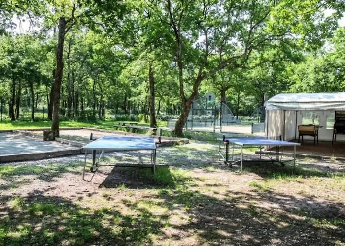 Camping Mobil Prestige Avec Terrasse A - Api-1-52-159 Royan